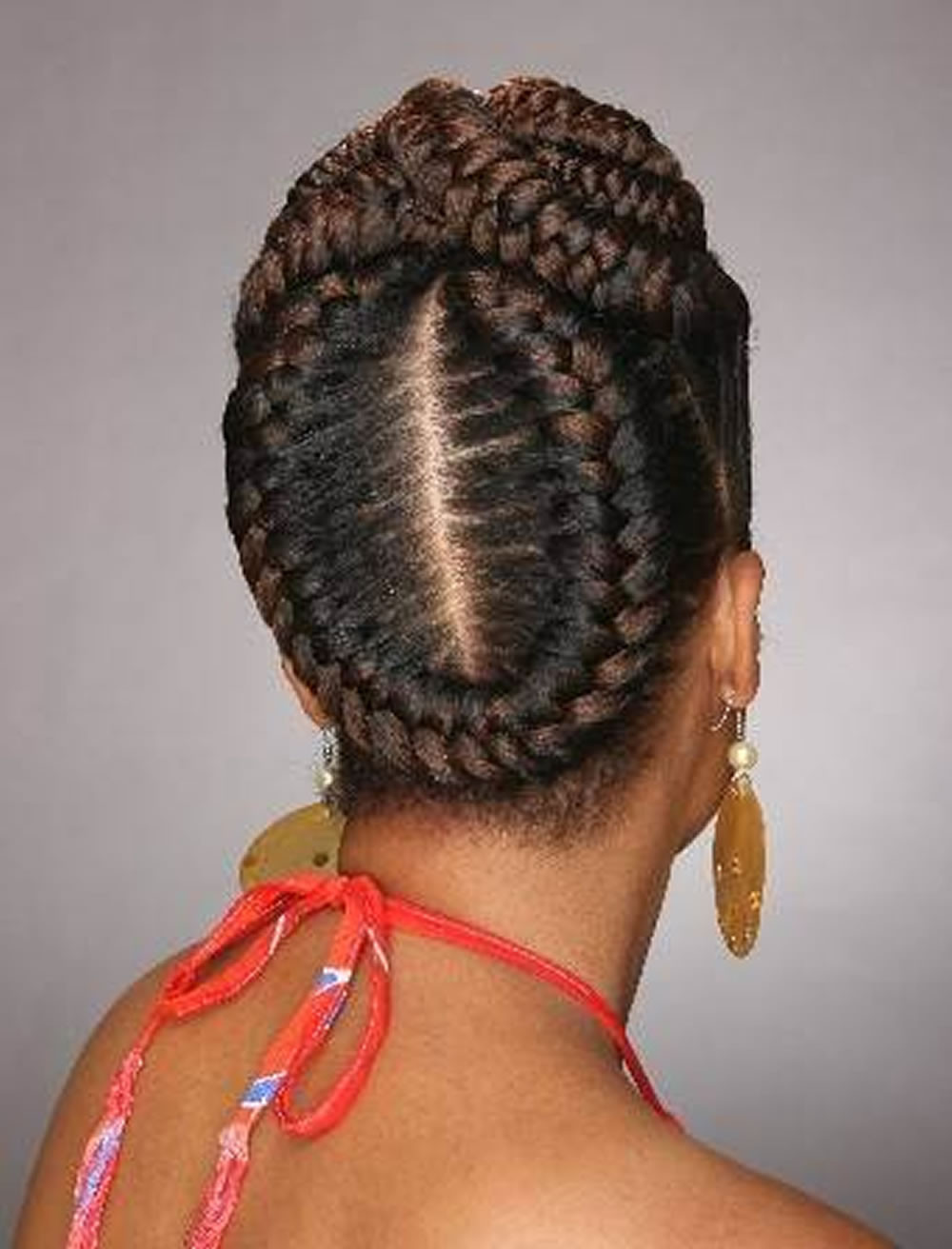 African Updo Hairstyles
 20 Best African American Braided Hairstyles for Women 2017