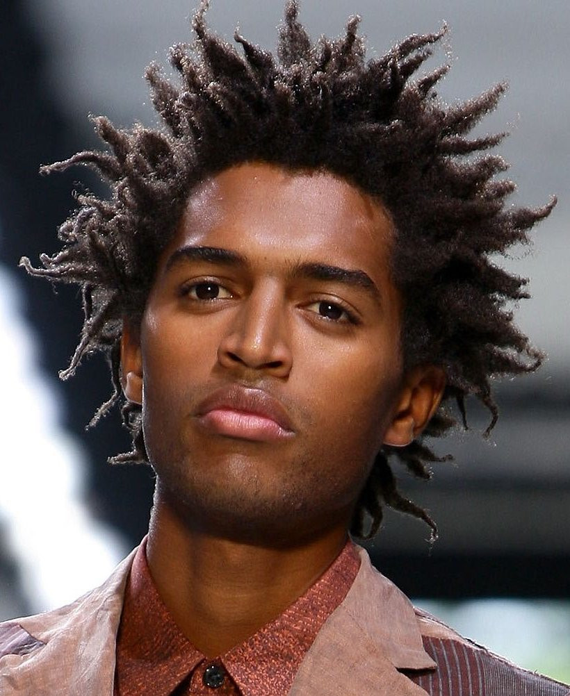 Afro Hairstyles Male
 shreedasdiary Ideal Hairstyles for Black Men 2013