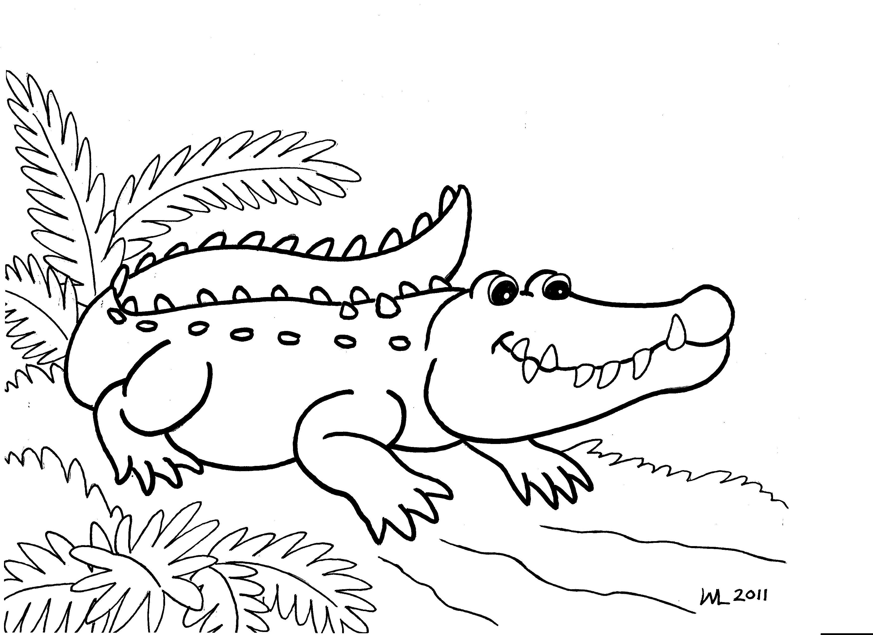 Alligator Coloring Pages
 Free Printable Alligator Coloring Pages For Kids