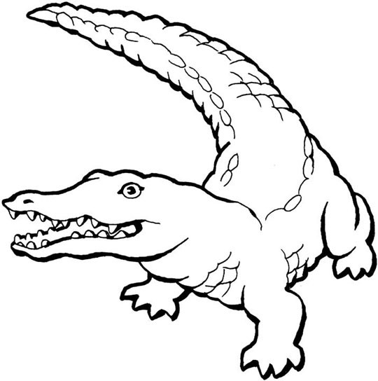 Alligator Coloring Pages
 Free Coloring Pages Crocodiles