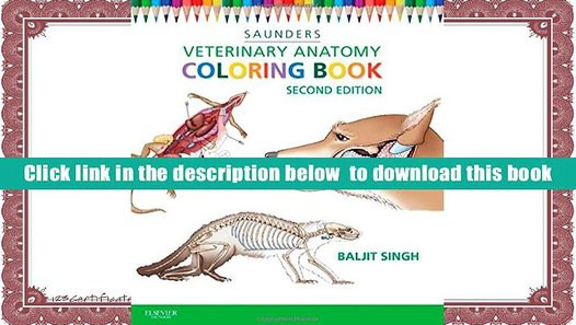 Animal Anatomy Coloring Book
 PDF Veterinary Anatomy Coloring Book 2e SAUNDERS Full