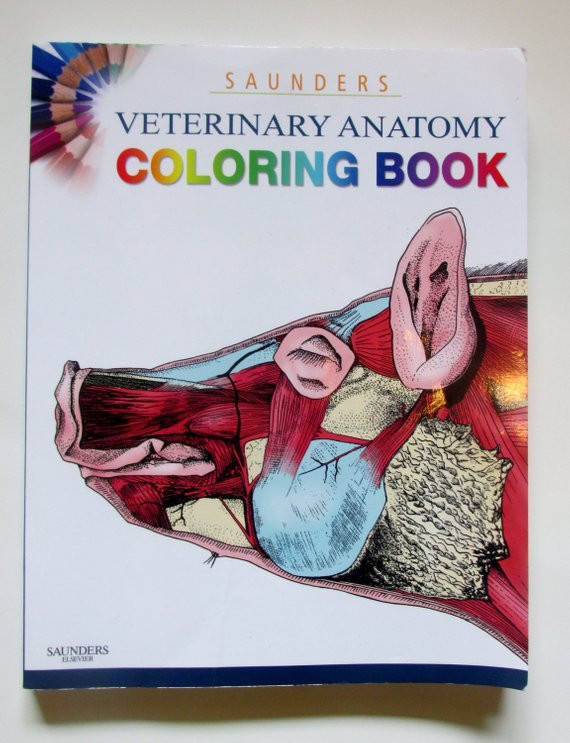 Animal Anatomy Coloring Book
 Veterinary Anatomy Coloring Book 2011 by FunkyKnitsByGeorgia