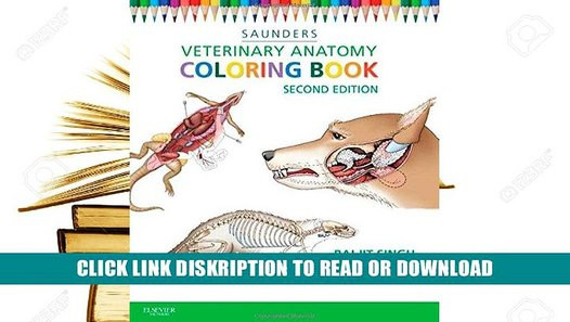 Animal Anatomy Coloring Book
 [E Books] Veterinary Anatomy Coloring Book 2e By SAUNDERS