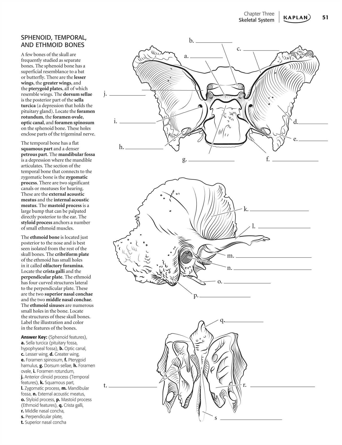 Animal Anatomy Coloring Book
 Veterinary Anatomy Coloring Book