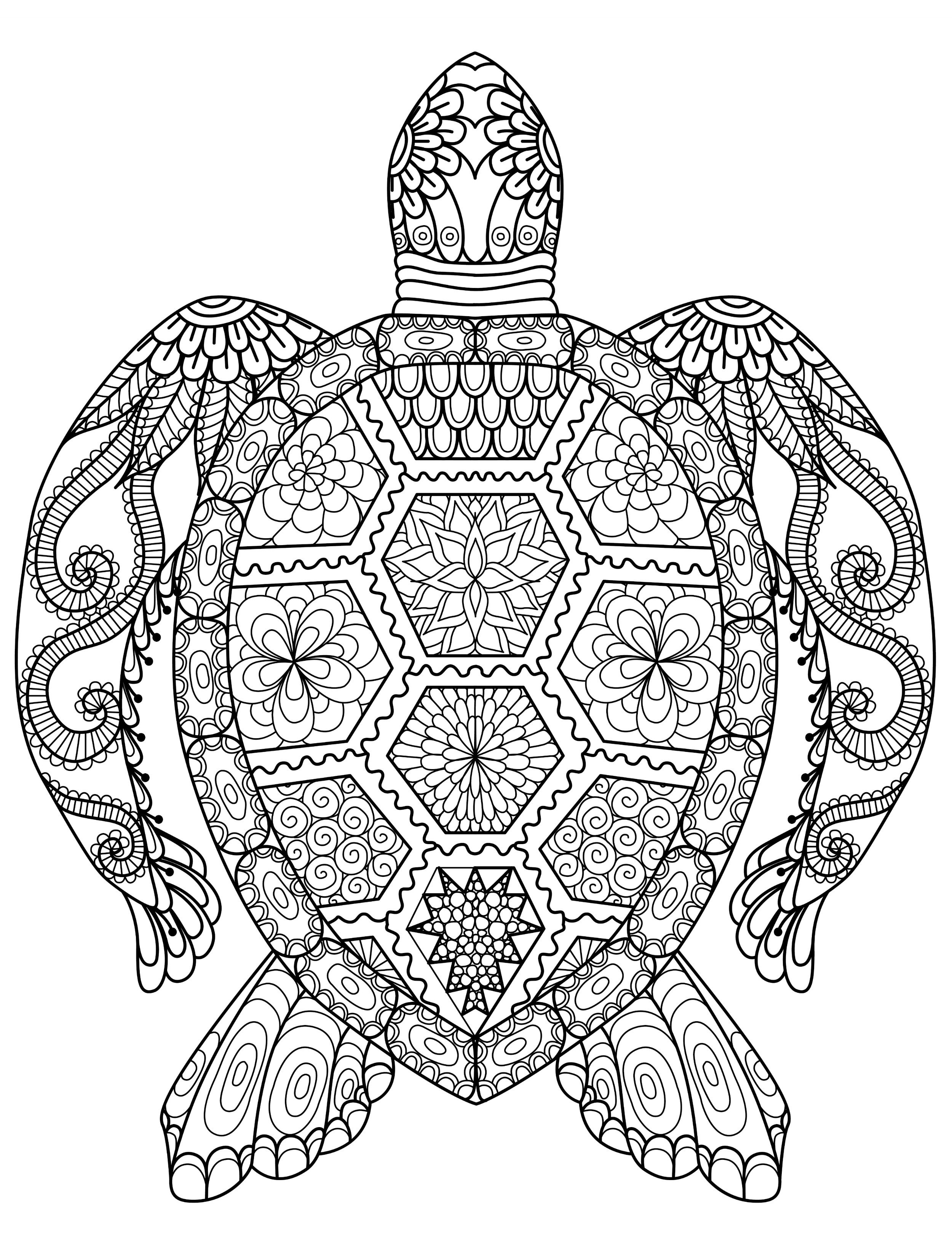 Animal Coloring Book Pages
 Adult Coloring Pages Animals Best Coloring Pages For Kids