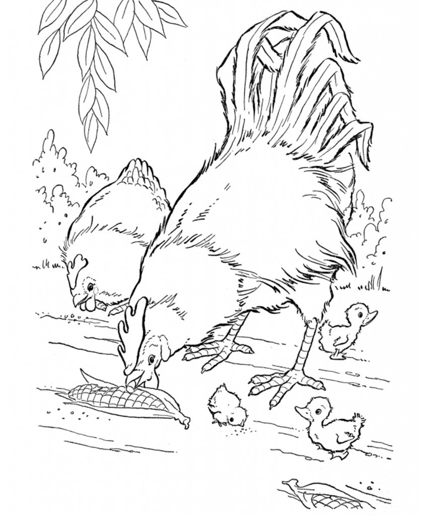 Animal Coloring Book Pages
 Free Printable Farm Animal Coloring Pages For Kids