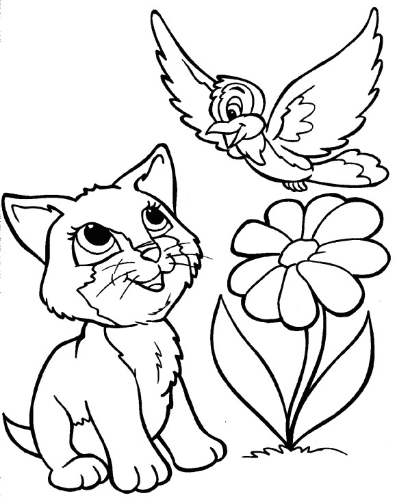 Animal Coloring Sheets For Girls
 Kitten Coloring Pages For Girls Cats