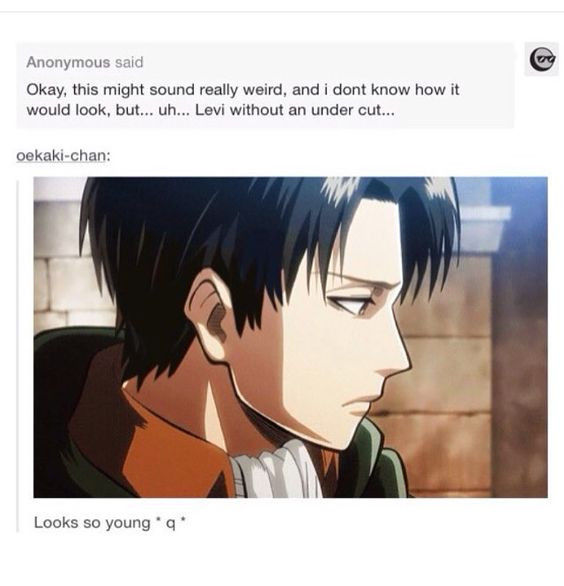 Anime Undercut Hairstyle
 Levi Without An Undercut