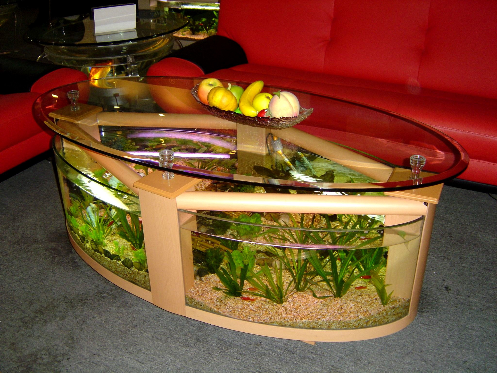 Best ideas about Aquarium Coffee Table
. Save or Pin Coffee Table Fish Tank Plans Plans Free Download Now.