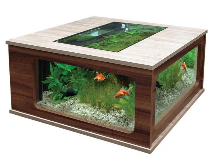 Best ideas about Aquarium Coffee Table
. Save or Pin Quiet Corner Beautiful Coffee Table Aquariums Quiet Corner Now.