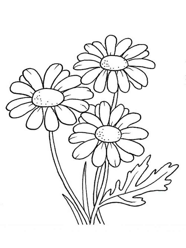 Artful Flower Coloring Sheets For Girls Flowers
 Раскраска цветок Маргаритка Скачать и распечатать
