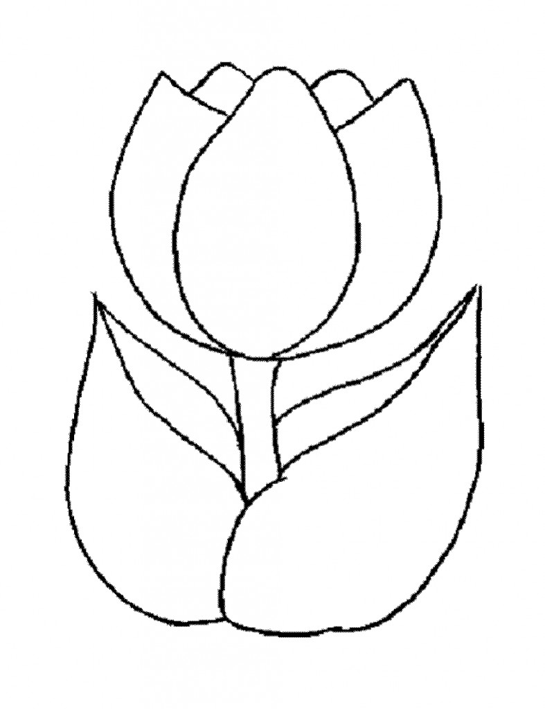 Artful Flower Coloring Sheets For Girls Flowers
 Tulipan