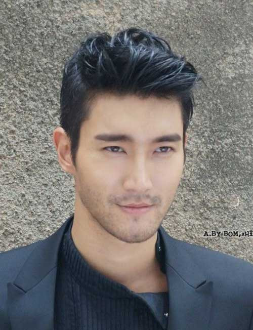 Asian Male Hairstyles
 Asian Men Hairstyle Ideas