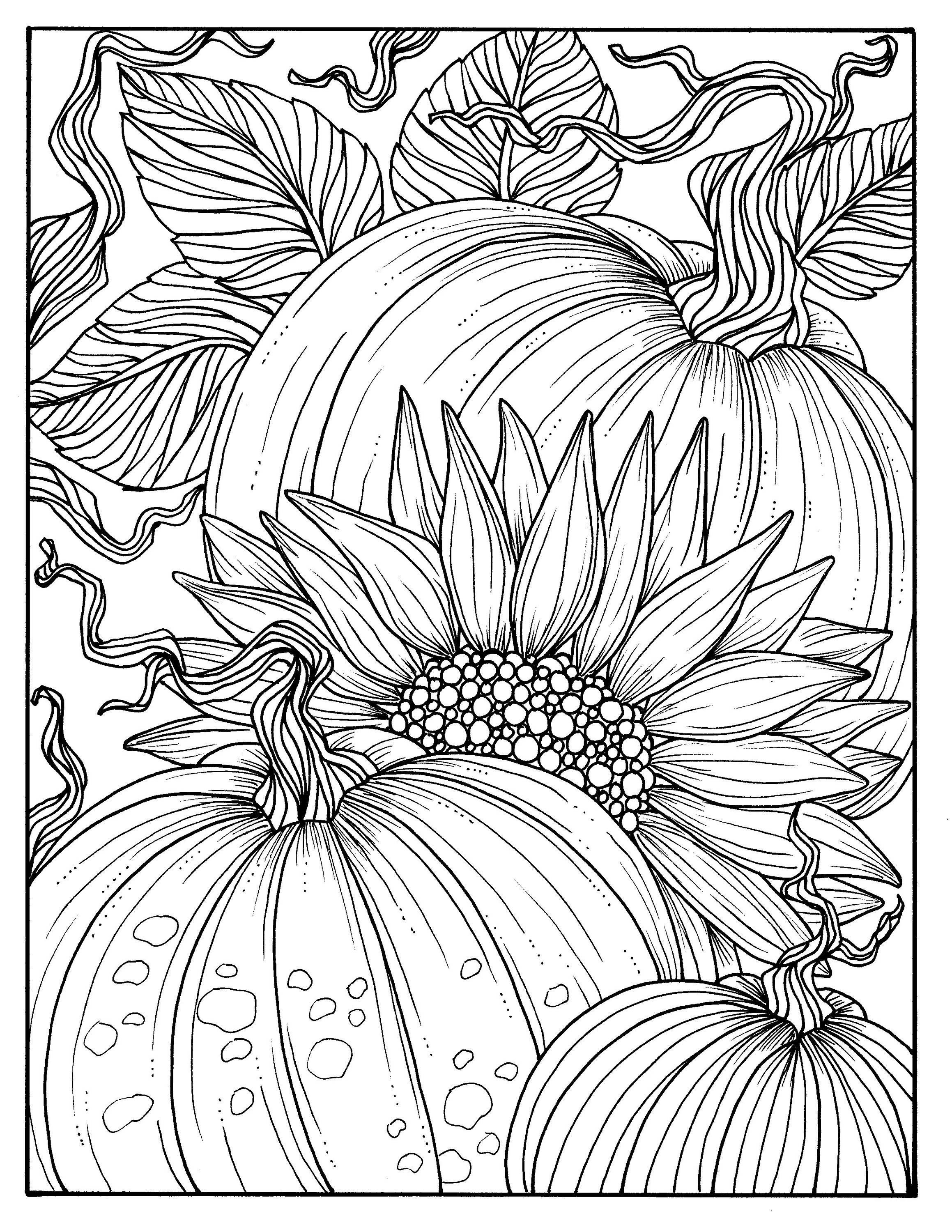 Autumn Coloring Pages For Adults
 5 Pages Fabulous Fall Digital Downloads to Color Punpkins