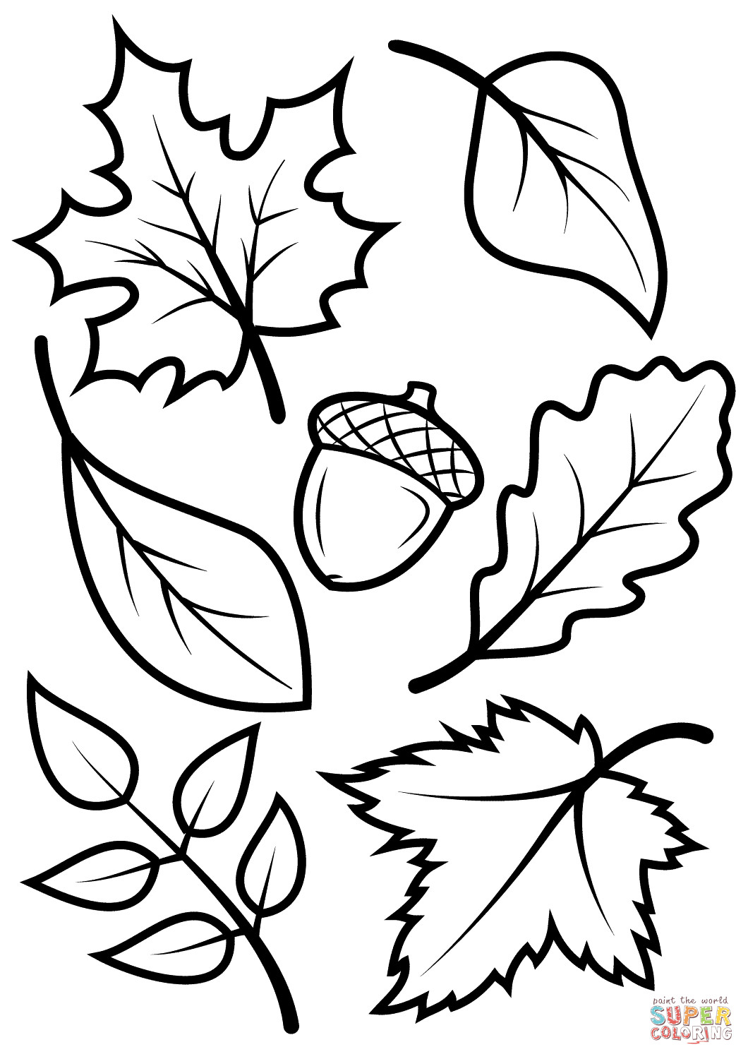 Autumn Leaves Coloring Pages
 Fall Leaves and Acorn coloring page