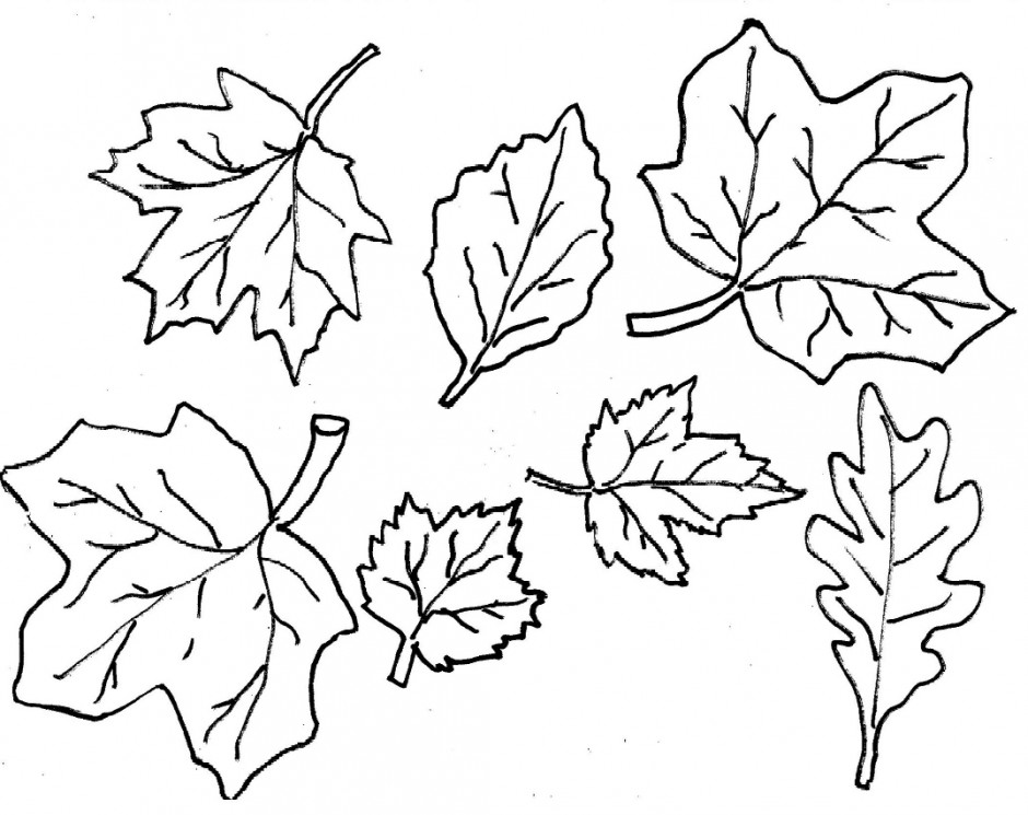 Autumn Leaves Coloring Pages
 Autumn Leaves Coloring Pages AZ Coloring Pages