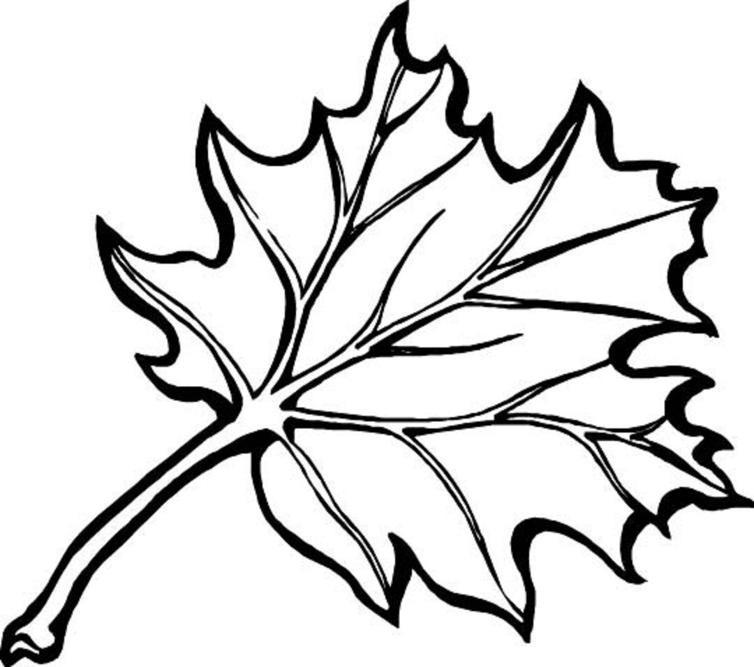Autumn Leaves Coloring Pages
 autumn season coloring pages