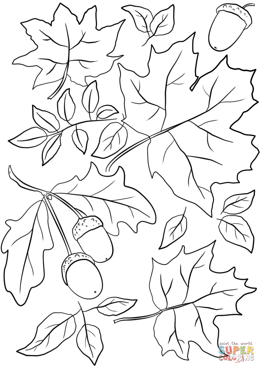 Autumn Leaves Coloring Pages
 I Love Summer coloring page