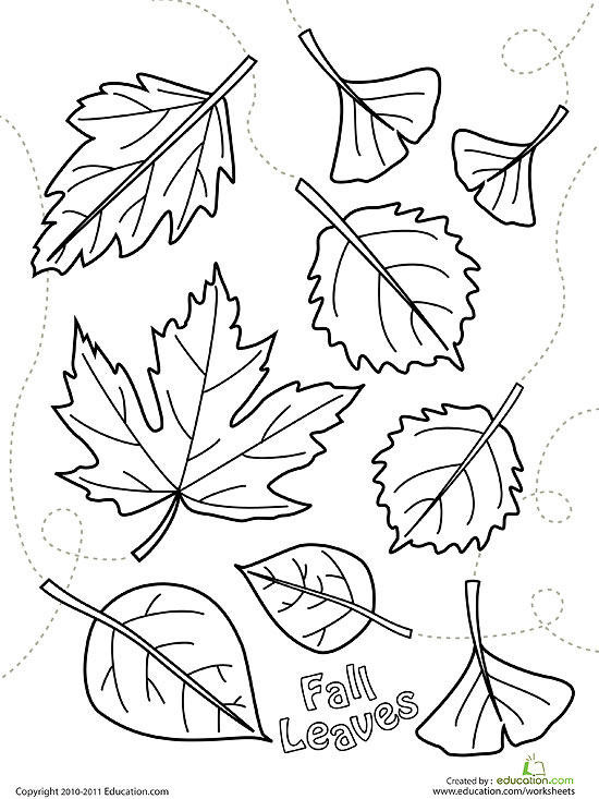 Autumn Leaves Coloring Pages
 Printable Fall Coloring Pages