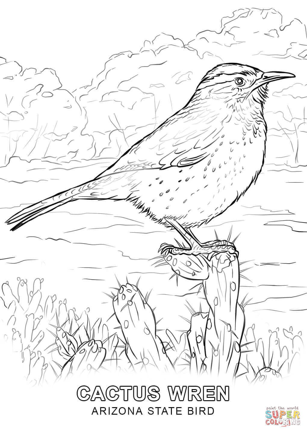 Az Coloring Pages
 Arizona State Bird coloring page