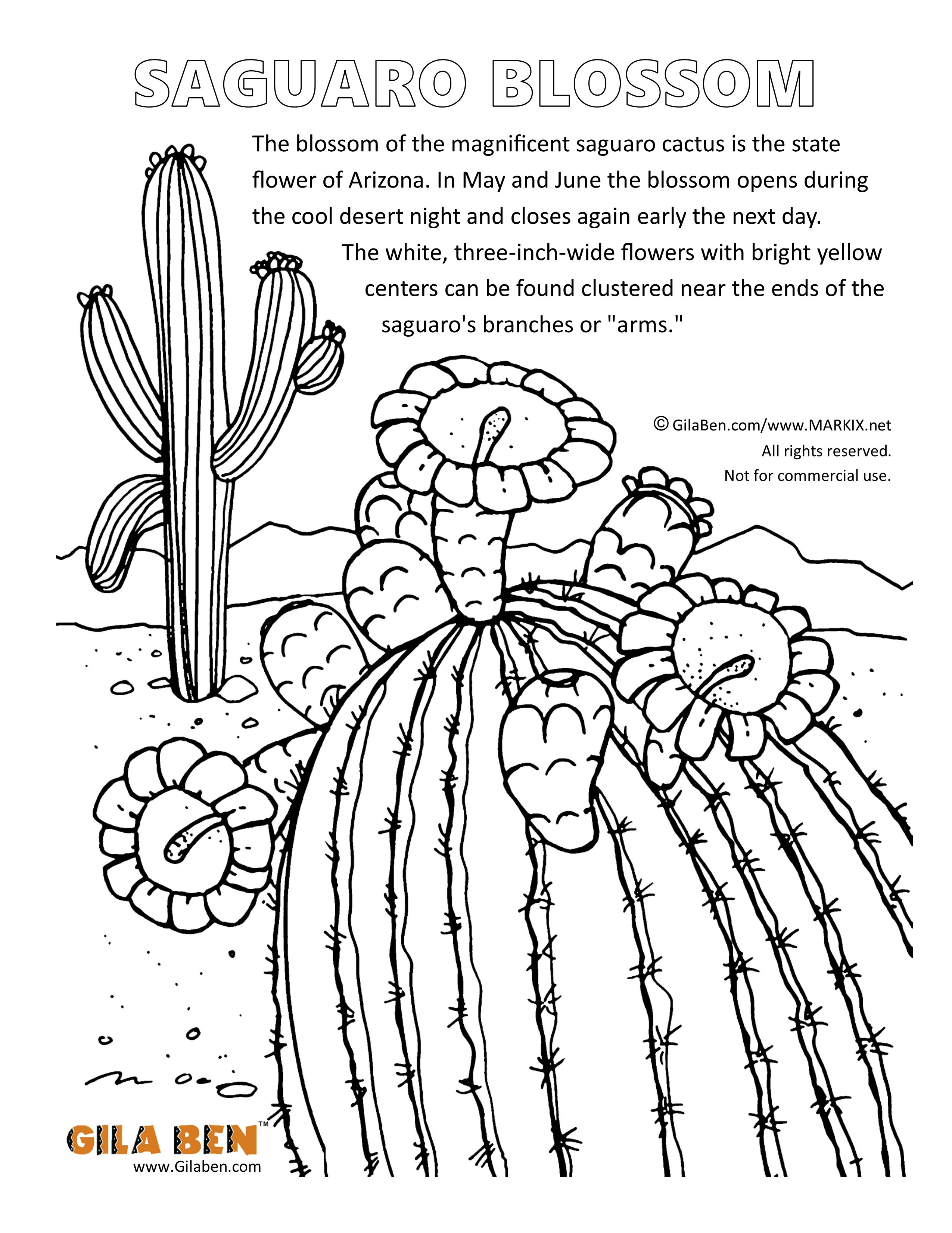 Az Coloring Pages
 Arizona Coloring Pages Free