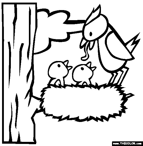 Baby Bird Coloring Pages
 Cute Bird Coloring Pages Free Printable