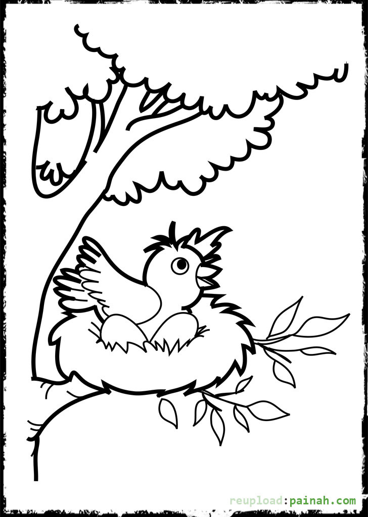 Baby Bird Coloring Pages
 Cute Baby Bird Coloring Pages Coloring Pages