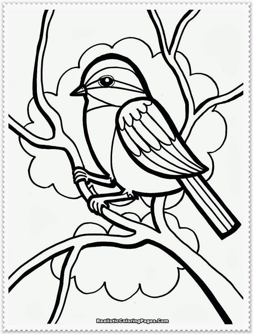 Baby Bird Coloring Pages
 Free coloring pages of baby bird