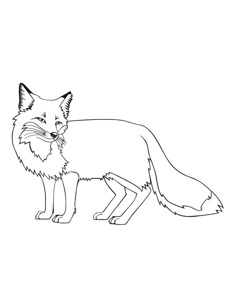 Baby Fox Coloring Pages
 Baby Fox Coloring Pages Coloring Home