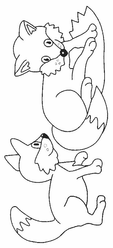 Baby Fox Coloring Pages
 Fox Coloring Pages Color Book