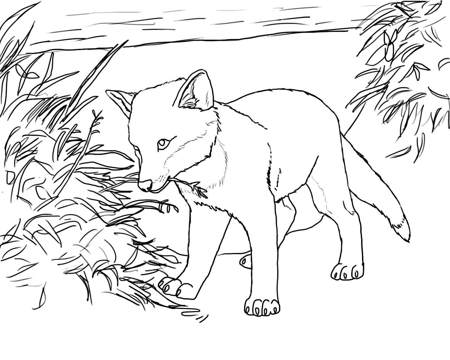 Baby Fox Coloring Pages
 Free Printable Fox Coloring Pages For Kids