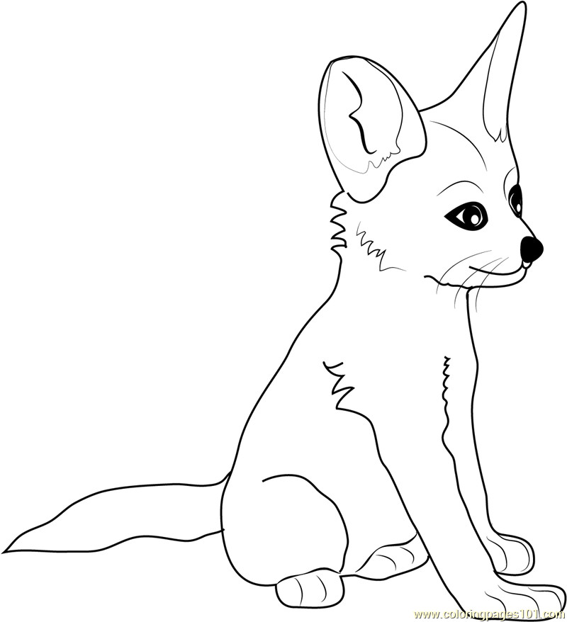 Baby Fox Coloring Pages
 Cute Baby Fox Coloring Pages Coloring Home