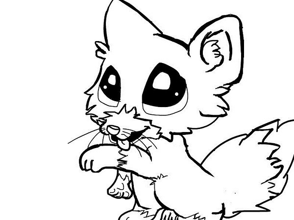 Baby Fox Coloring Pages
 Cute Baby Fox Anime