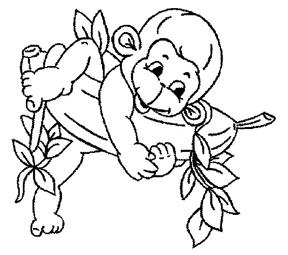 Baby Monkey Coloring Pages
 7 Free Baby Monkey Coloring For Drawing by Kids