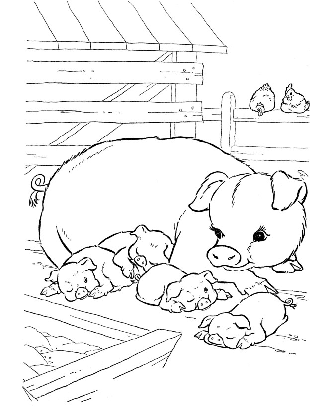 Baby Pig Coloring Pages
 Coloring Page Pig Coloring Home
