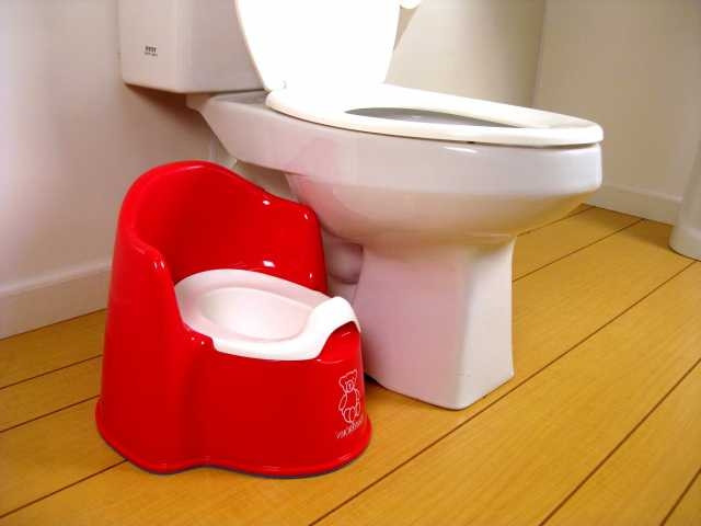 Best ideas about Babybjorn Potty Chair
. Save or Pin Lovely Baby Bjorn Potty Chair – Red Now.