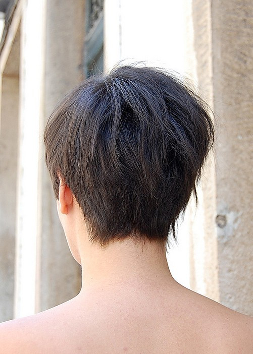 Back View Of Bob Haircuts
 Short Bob Hairstyles