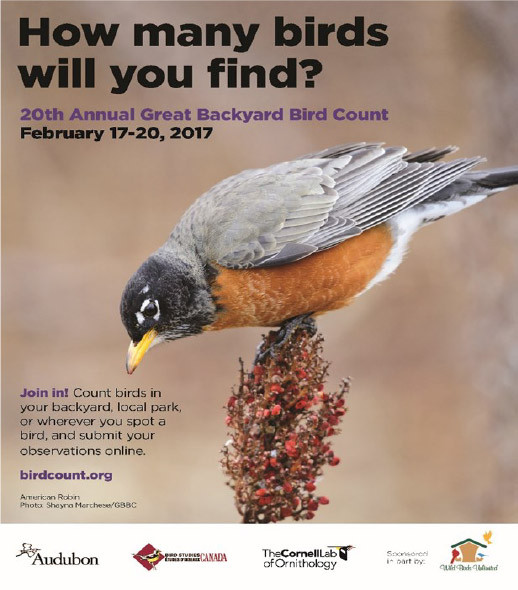 Best ideas about Backyard Bird Count 2019
. Save or Pin 2015 Great Backyard Bird Count Now.