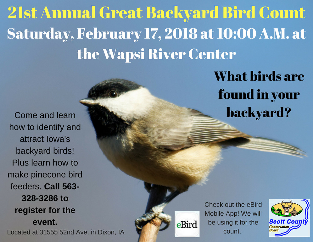 Best ideas about Backyard Bird Count 2019
. Save or Pin Great Backyard Bird Count Now.