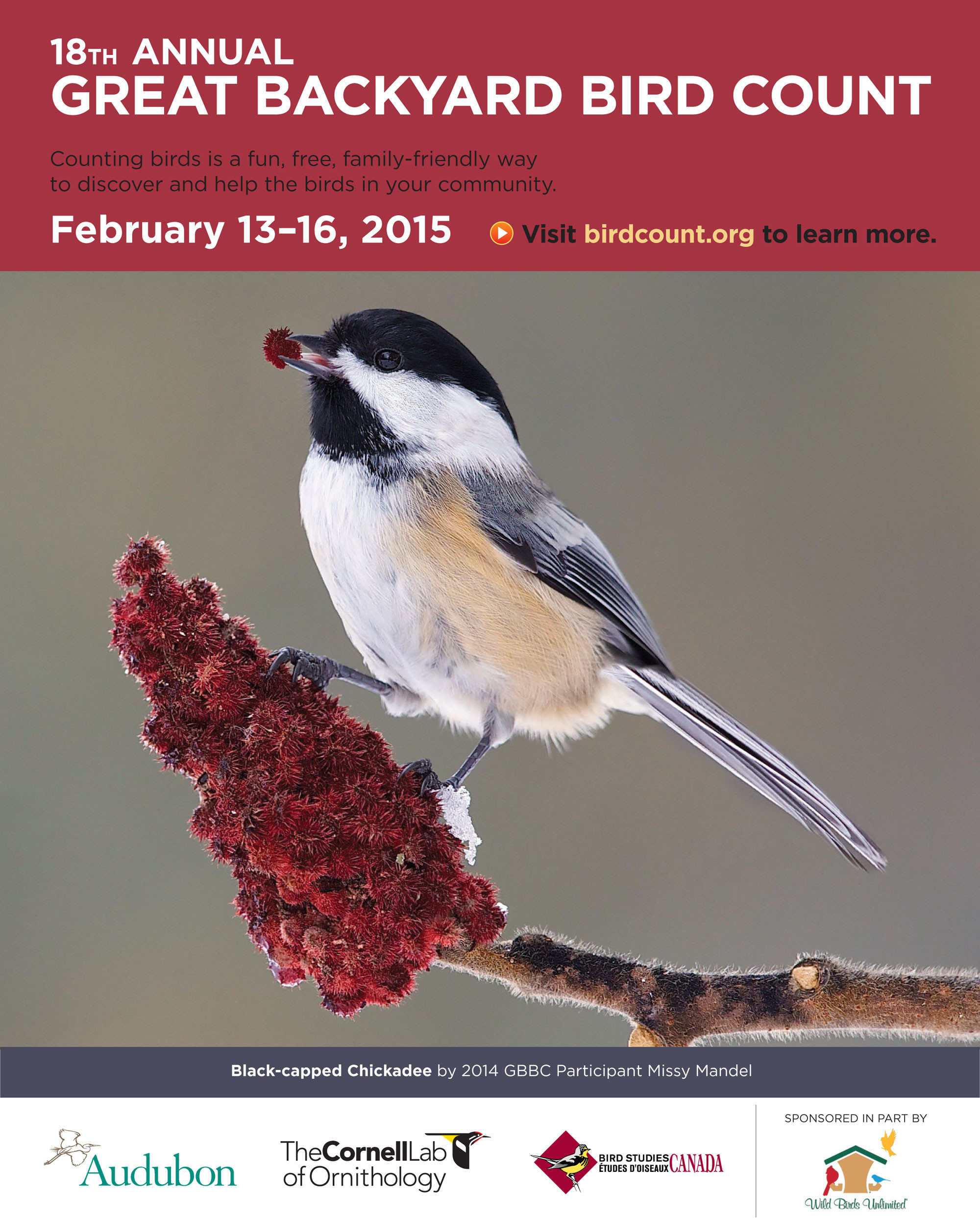 Best ideas about Backyard Bird Count 2019
. Save or Pin JOIN THE “GREAT AMERICAN BACKYARD BIRD COUNT” AT SCOTTS Now.