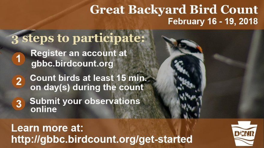 Best ideas about Backyard Bird Count 2019
. Save or Pin PA Environment Digest Blog Make A Difference In Bird Now.
