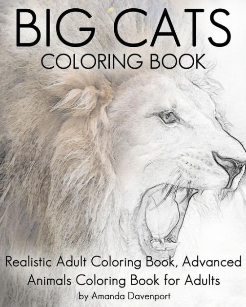 Barnes And Noble Coloring Books For Adults   Big Cats Coloring Book Realistic Adult Coloring Book