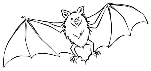 Bat Coloring Sheet
 32 printable pictures of bat page Print Color Craft