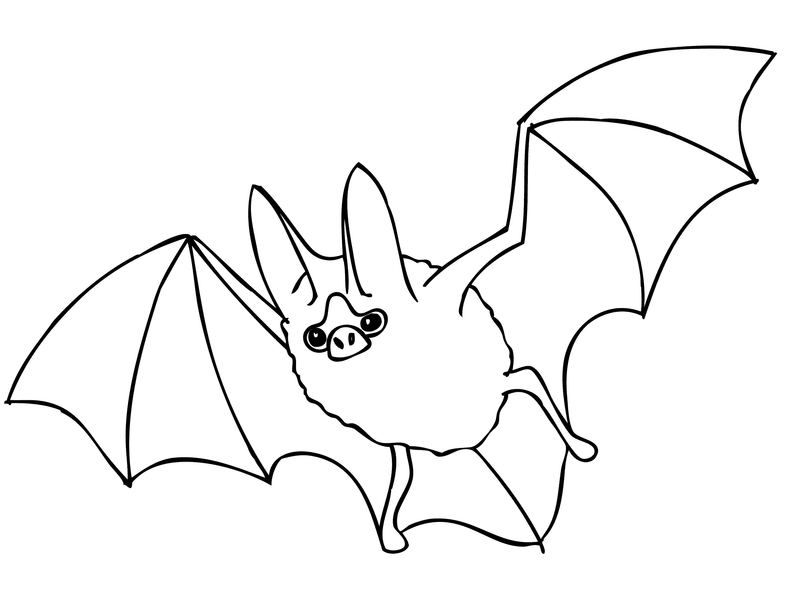 Bat Coloring Sheet
 Free Printable Bat Coloring Pages For Kids