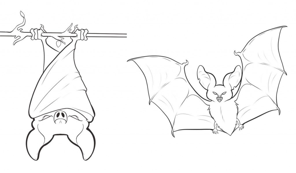 Bat Coloring Sheet
 Free Printable Bat Coloring Pages For Kids