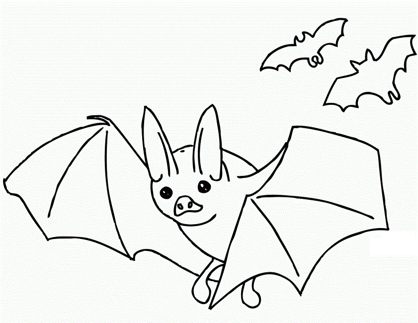 Bat Coloring Sheet
 Free Printable Bat Coloring Pages For Kids