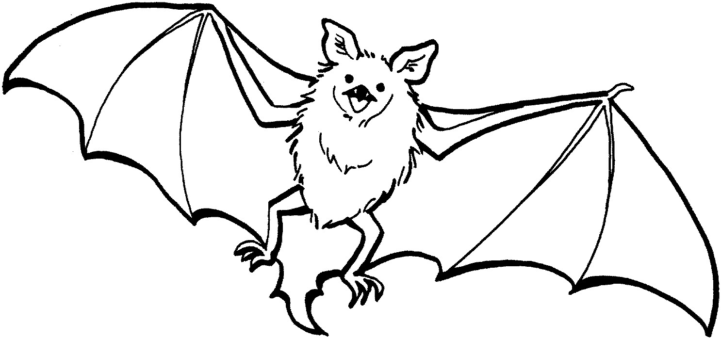 Bat Coloring Sheet
 Free Printable Bat Coloring Pages For Kids