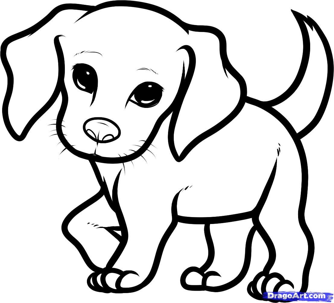 Beagle Coloring Pages
 How to Draw a Beagle Puppy Beagle Puppy Step by Step