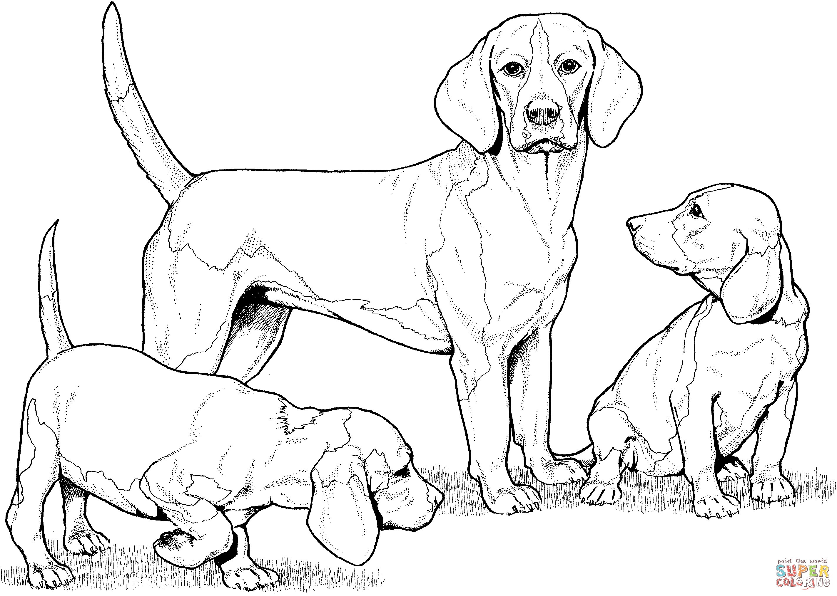 Beagle Coloring Pages
 Disegno di Beagle e cuccioli da colorare