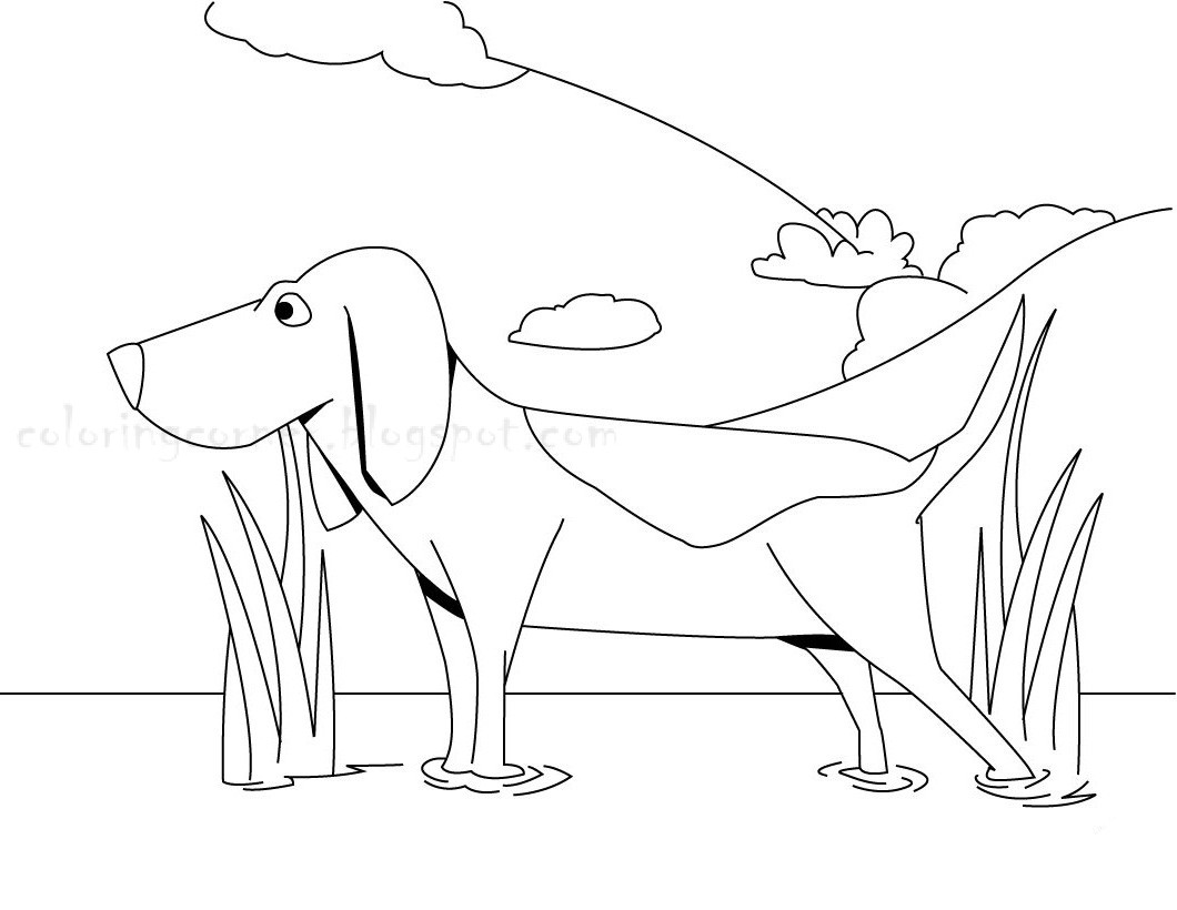 Beagle Coloring Pages
 Beagles Coloring Pages